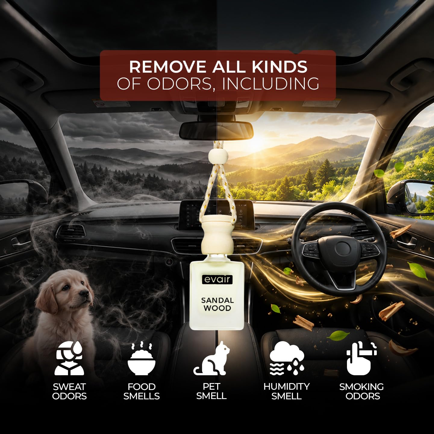 Evair SANDALWOOD Luxury Car Air Freshener | 10ml (Pack of 1)